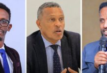 ኣብ ኢትዮጵያ ተኣሲሮም ዝጸንሑ መሪሕነት ተቋውሞ ተፈቲሖም