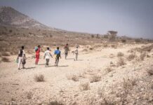 ኤርትራውያን መንእሰያት፡ ብብዝሒ ናብ ስደት ይውሕዙ ከም ዘለዉ ተገሊጹ
